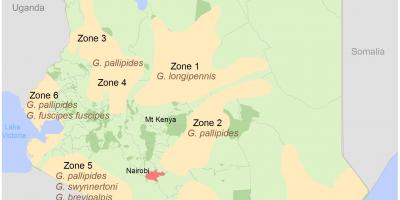 케냐의 연구소의 조사 및 매핑 과정